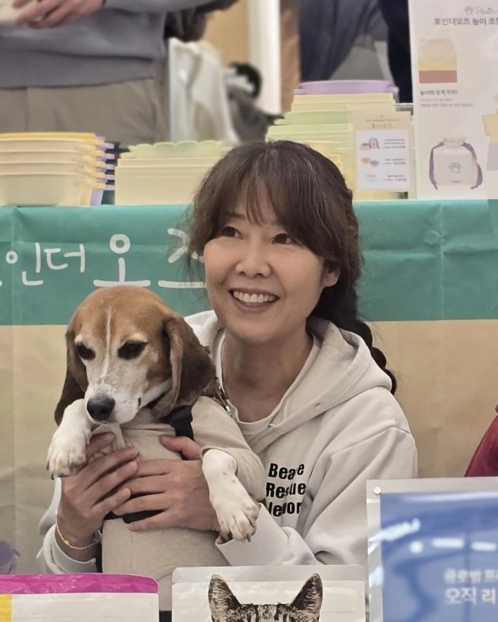 김세현
